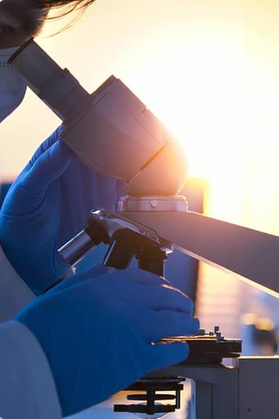 Technical  R&D Strength