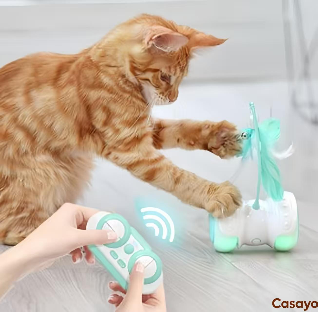 Remote Control Cat Teaser Car