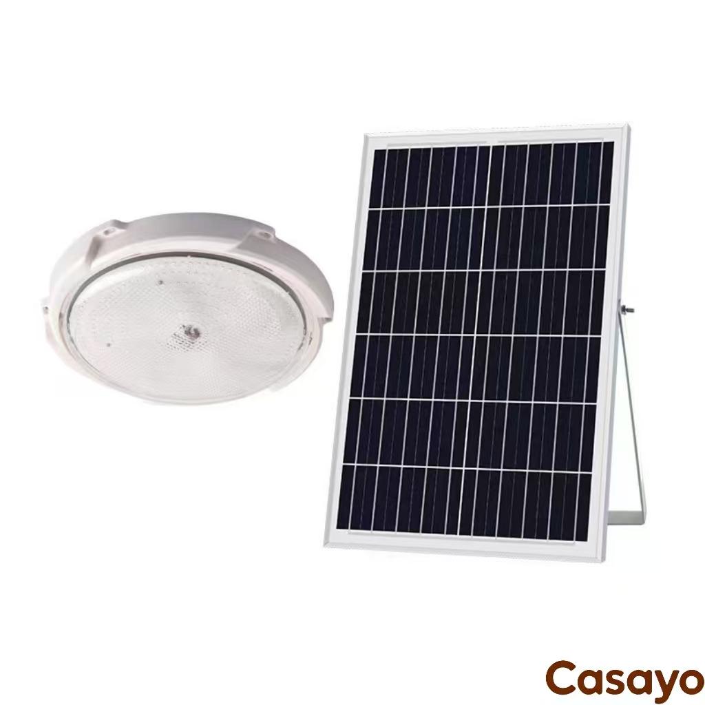 50w monochrome ceiling light